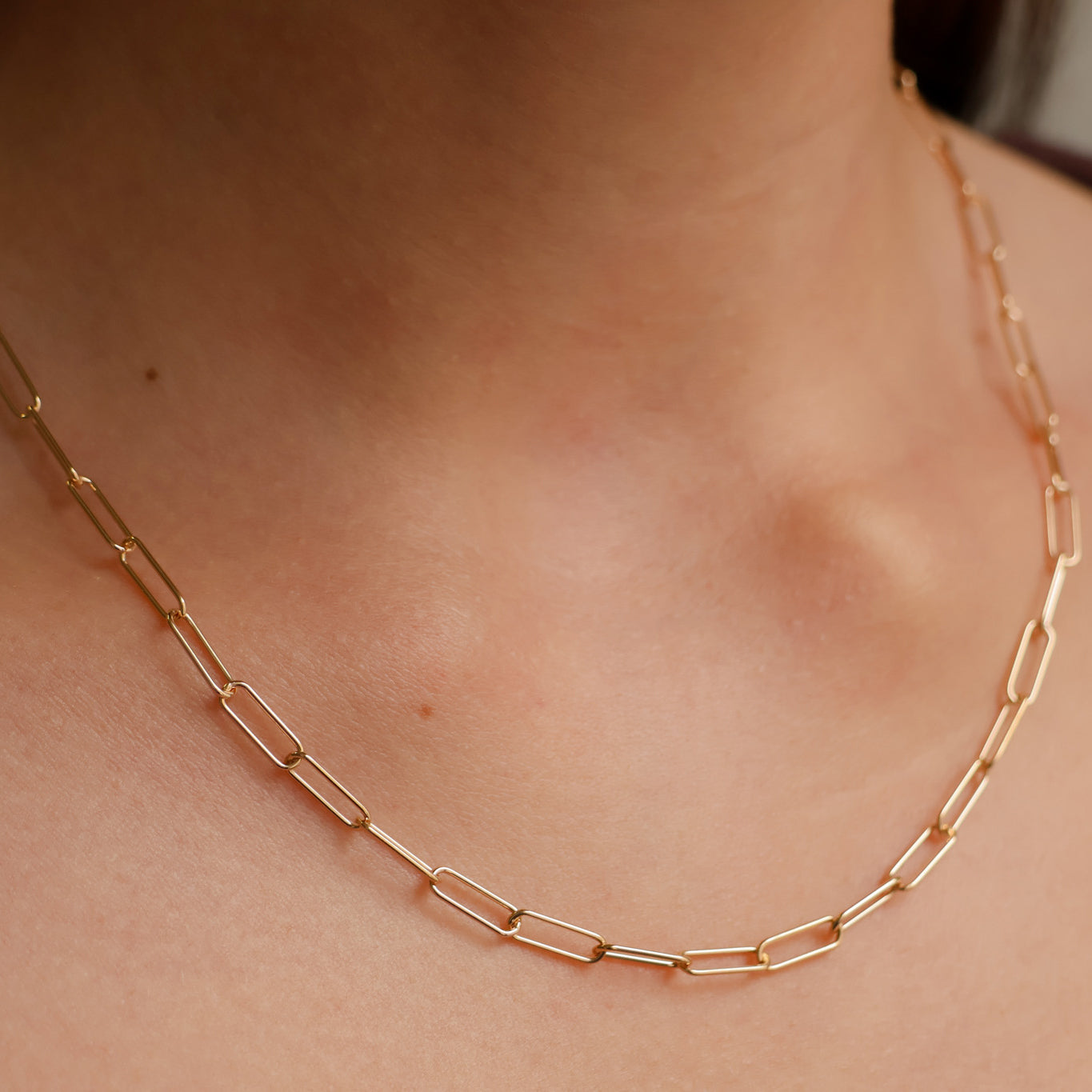 Paperclip Nia necklace trombone mesh gold-plated